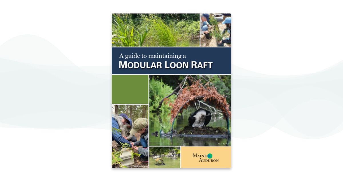MODULAR LOON RAFT GUIDE