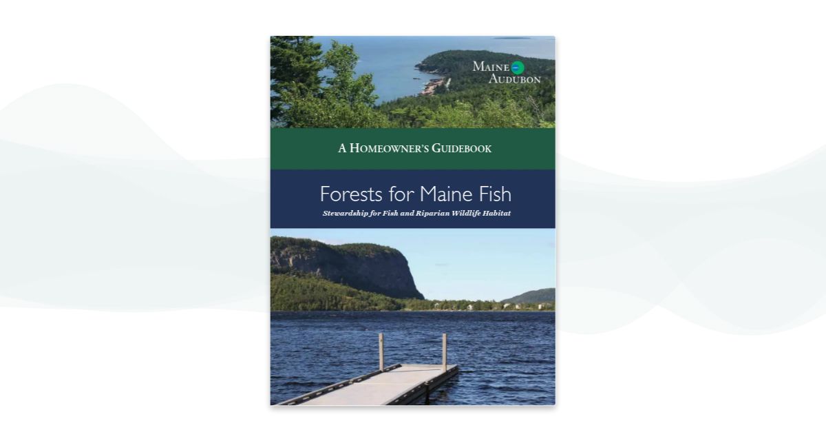 Forests for Maine Fish: Homeowner's Guidebook