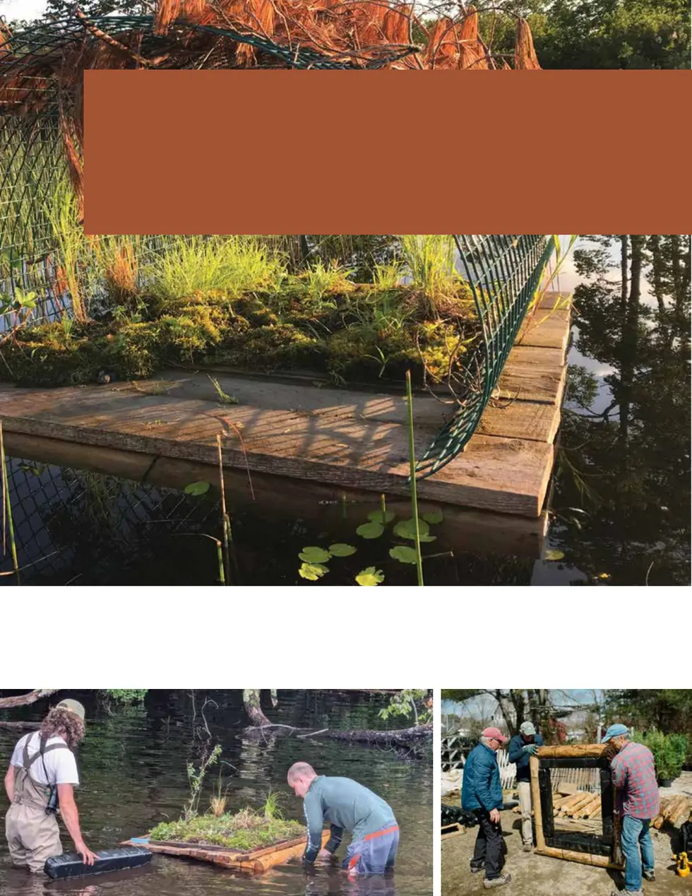 CEDAR LOON RAFT GUIDE